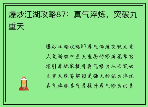 爆炒江湖攻略87：真气淬炼，突破九重天